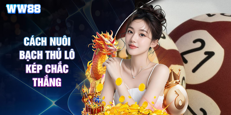 Cách Nuôi Bạch Thủ Lô Kép Chắc Thắng