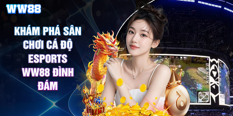 FAQ Về Khuyến Mãi Esport Cho Người Mới
