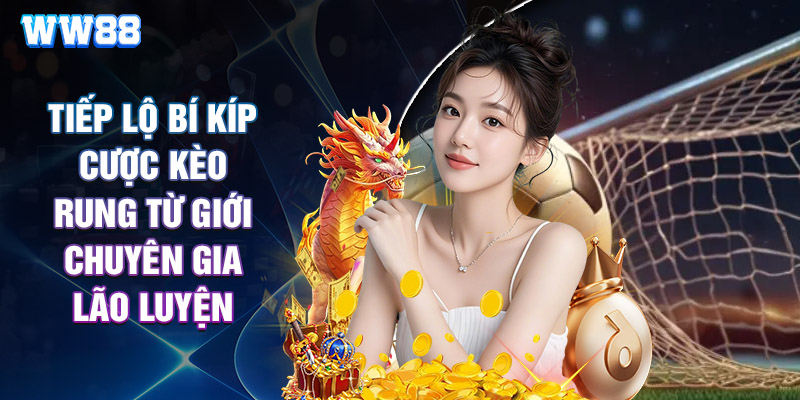 Tiếp Lộ Bí Kíp Cược Kèo Rung Từ Giới Chuyên Gia Lão Luyện
