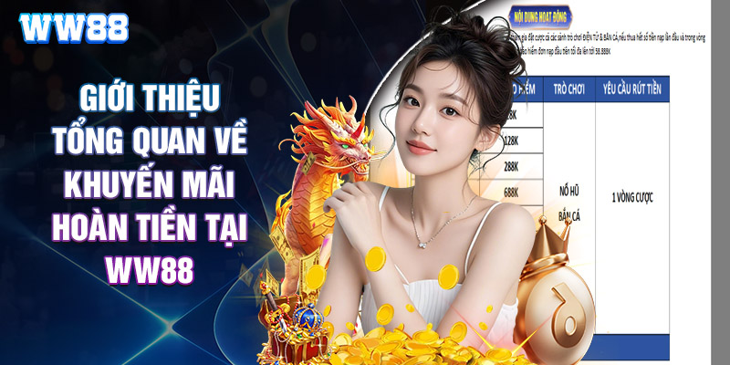 Giới Thiệu Tổng Quan Về Khuyến Mãi Hoàn Tiền Tại WW88