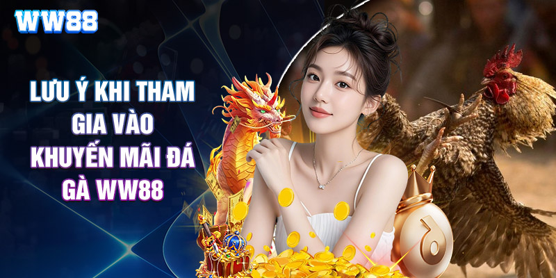 Lưu Ý Khi Tham Gia Vào Khuyến Mãi Đá Gà WW88
