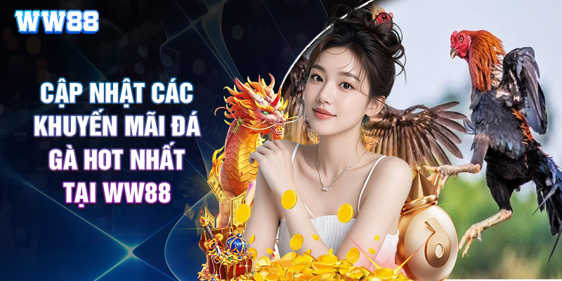 Cập Nhật Các Khuyến Mãi Đá Gà Hot Nhất Tại WW88